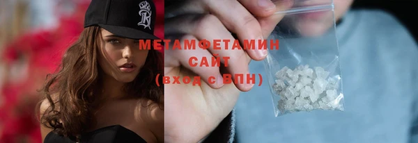 прущие грибы Осинники