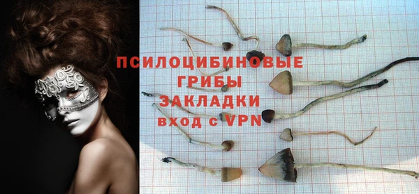 прущие крисы Переславль-Залесский