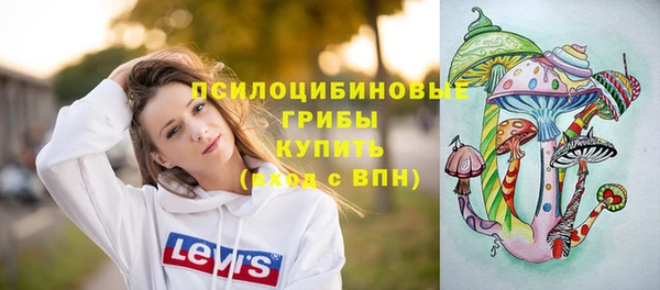 прущие крисы Переславль-Залесский